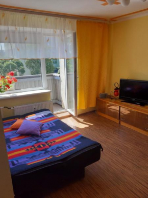 Apartment at Petera str.